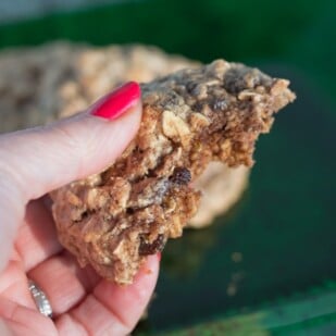 Chewy Old Fashioned Oatmeal Cookies- Low FODMAP