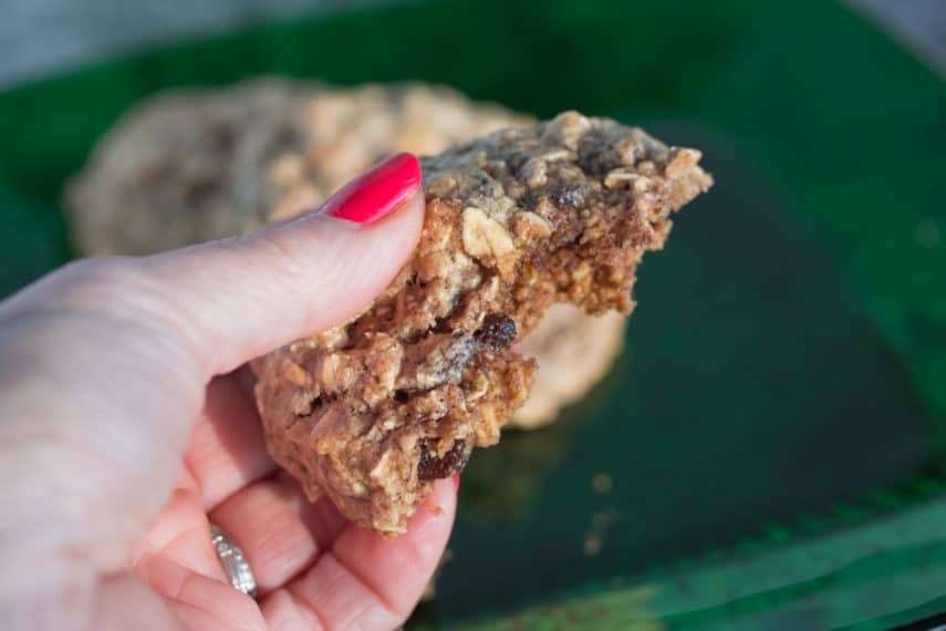 Low FODMAP Old Fashioned Oatmeal Cookies - chewy deliciousness. Cookie held in hand, half eaten.