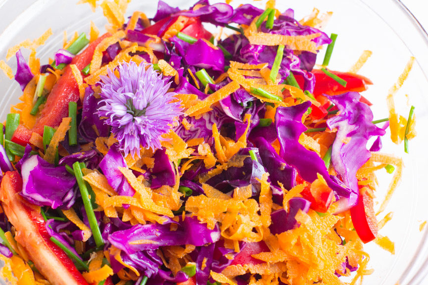 colorful coleslaw