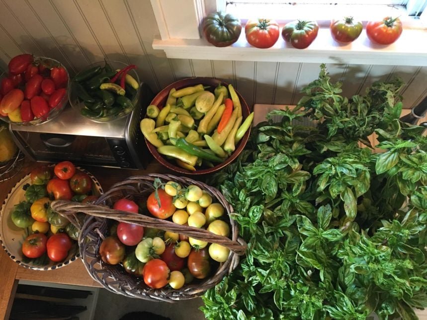 The counter is loaded with a day's pickings from the garden. Fresh Basil fills the sink and the air!