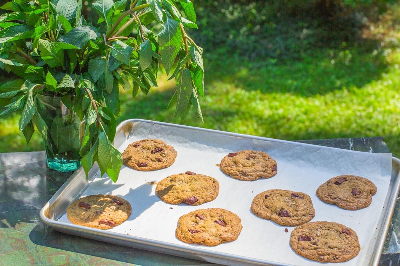 fresh mint chocolate chunk cookies EXTRA fresh-mint-chocolate-chunk-cookies-3