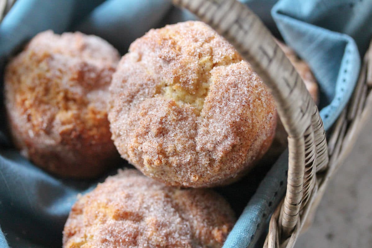 Low FODMAP Snickerdoodle Muffins