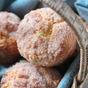 Low FODMAP Snickerdoodle Muffins