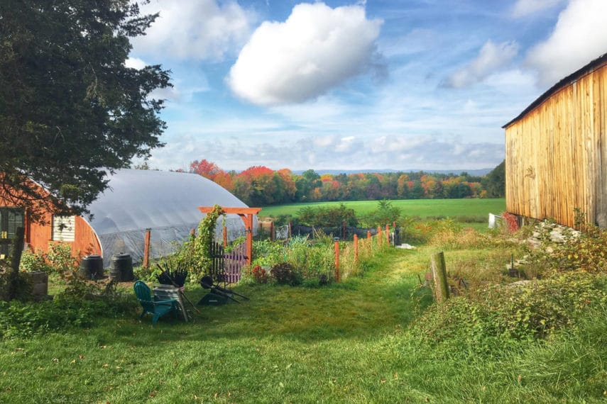 The FODMAP Everyday Farm in Fall