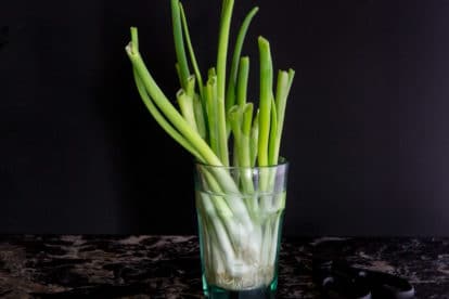 Scallions regrowing in a glass of water.