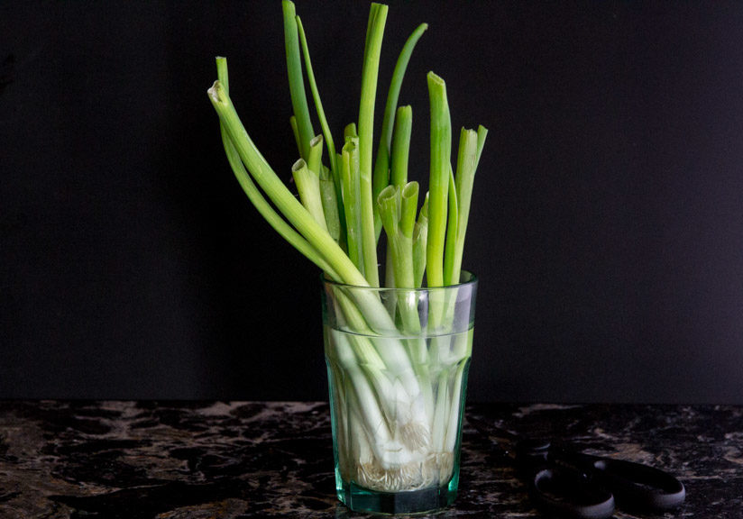 Grow your scallions in a glass! 