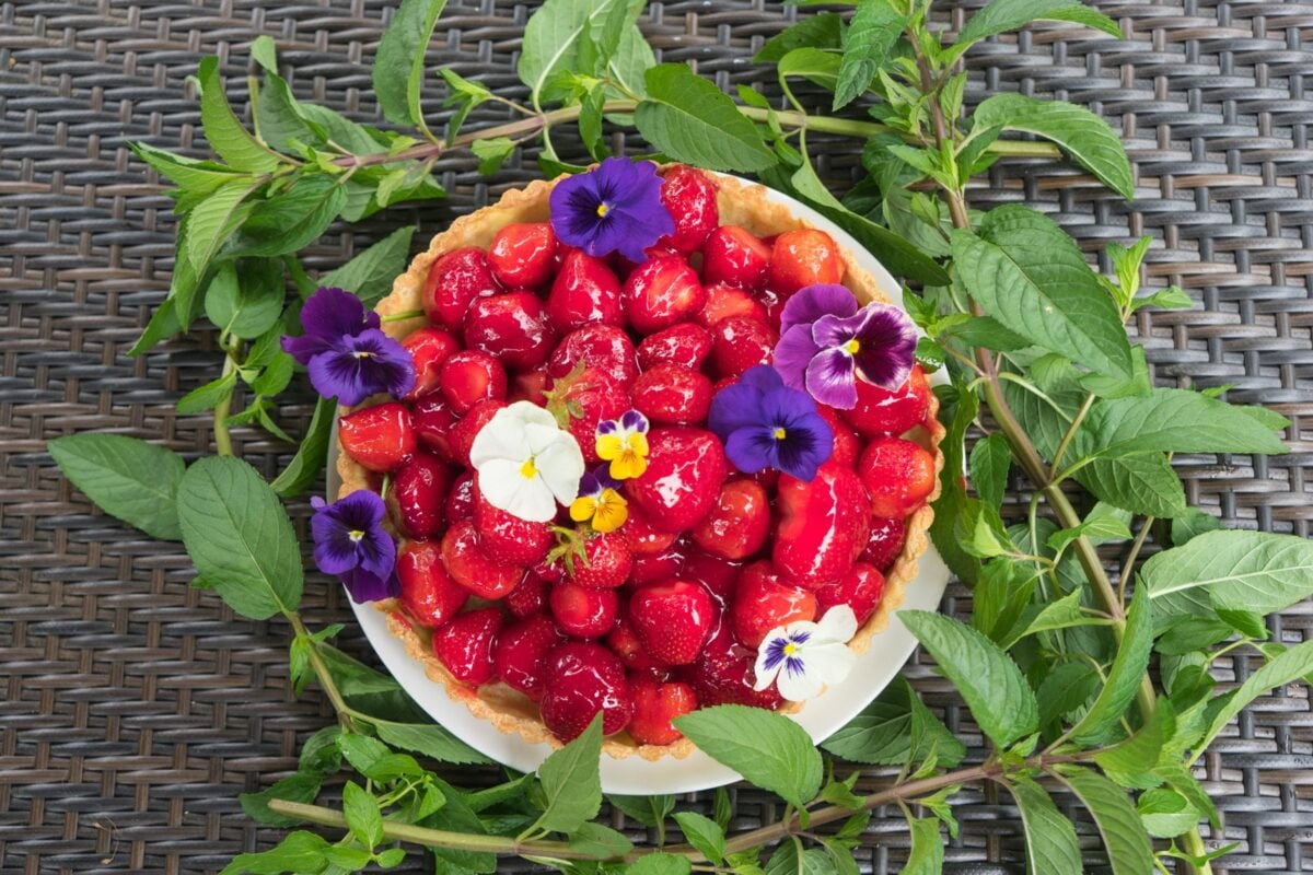 Fresh Strawberry Tart - FODMAP Everyday