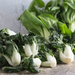 two kinds of bok choy