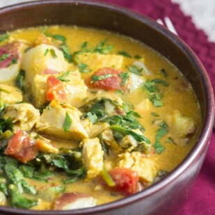 turkey curry with spinach