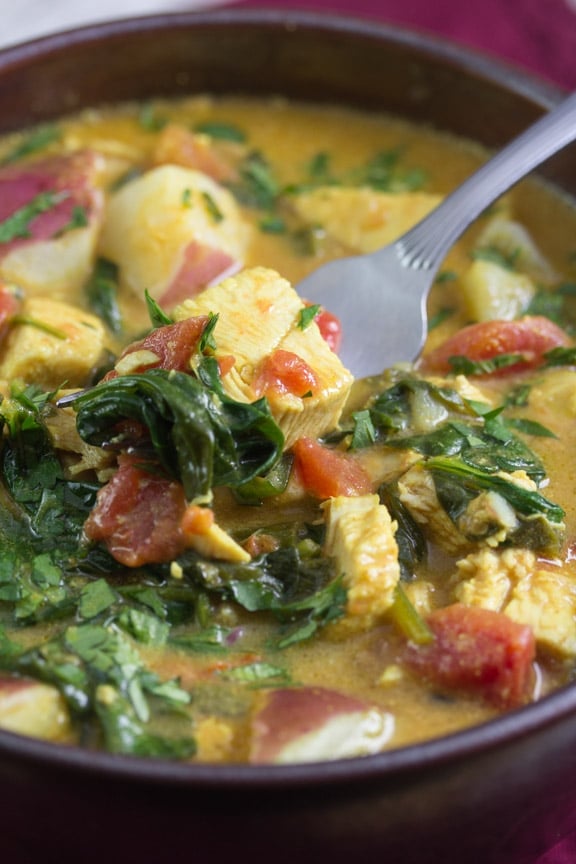 Turkey Coconut Curry with spinach in a rustic bowl and fork