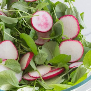 what to eat watercress & radish salad
