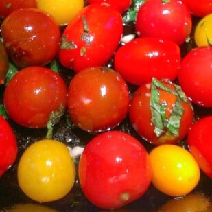 sauteed tomatoes
