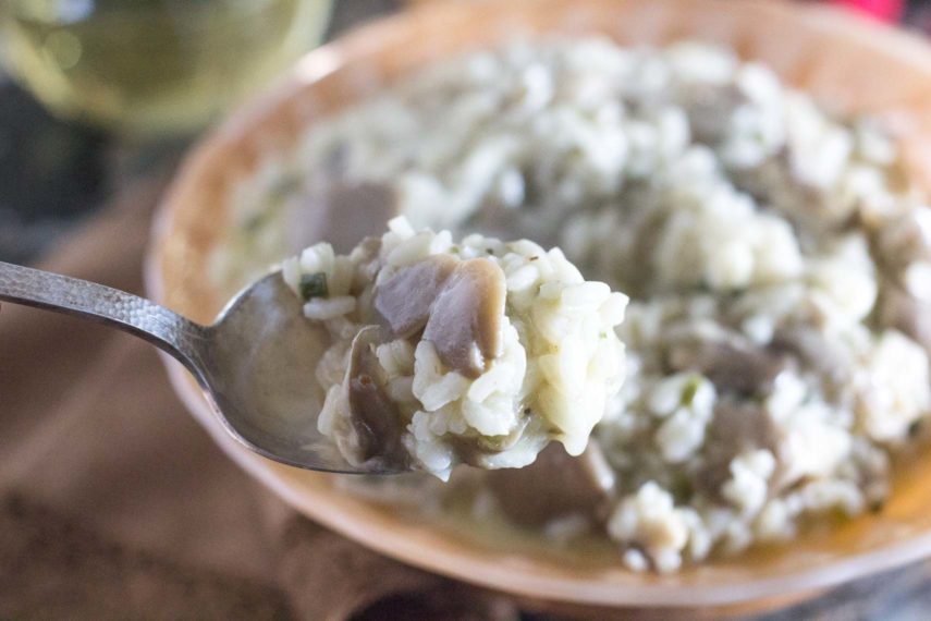 oyster mushroom risotto on spoon closeup