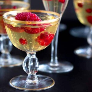 champagne gelee with raspberries & pomegranate closeup