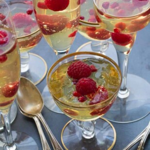 champagne gelee with raspberries & pomegranate vertical image