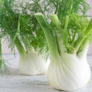 fennel bulbs on a white wooden surface