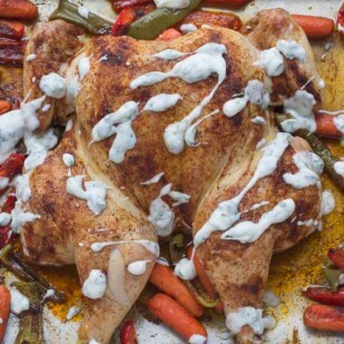 spatchcocked chicken with berbere and vegetables overhead view