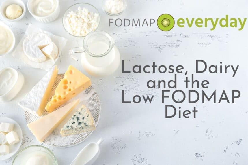 An overhead shot of cheese and milk on a white marble background with the words Lactose, Dairy and the Low FODMAP Diet overlaid