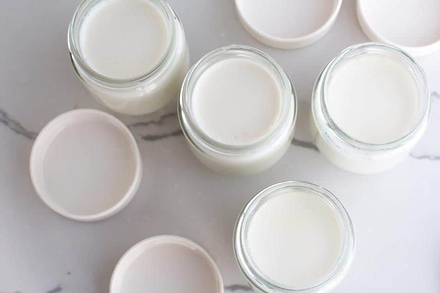 overhead image of homemade lactose-free yogurt in small glass jars