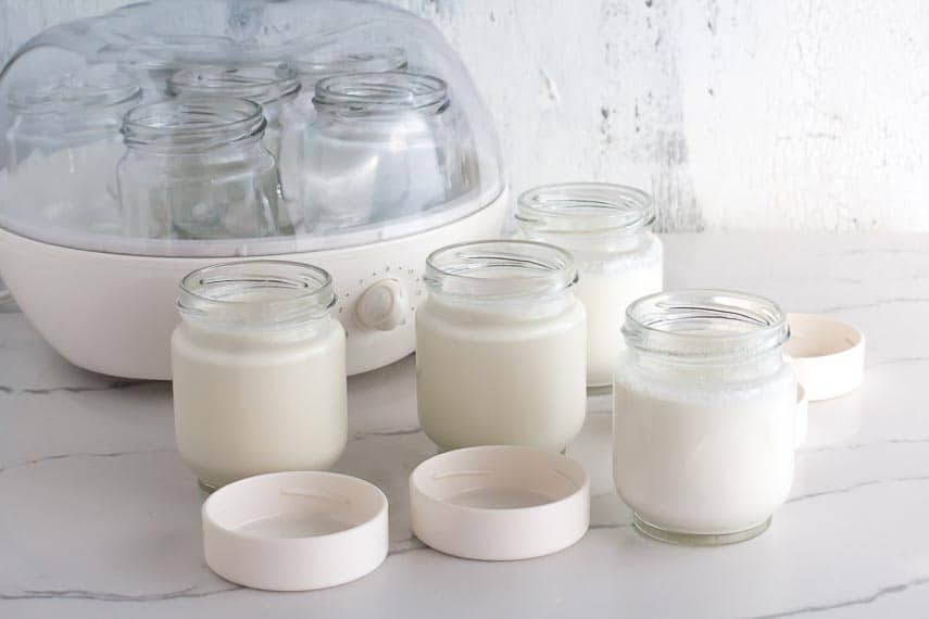 How To Make Lactose-Free Yogurt