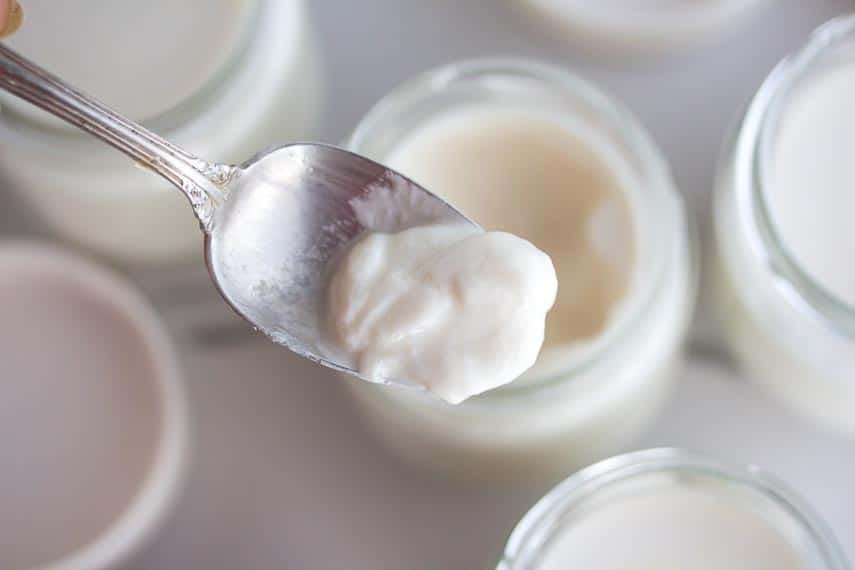 softly set homemade lactose free yogurt on a spoon