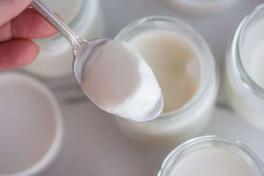 24 hour, firm set homemade lactose free yogurt on a spoon
