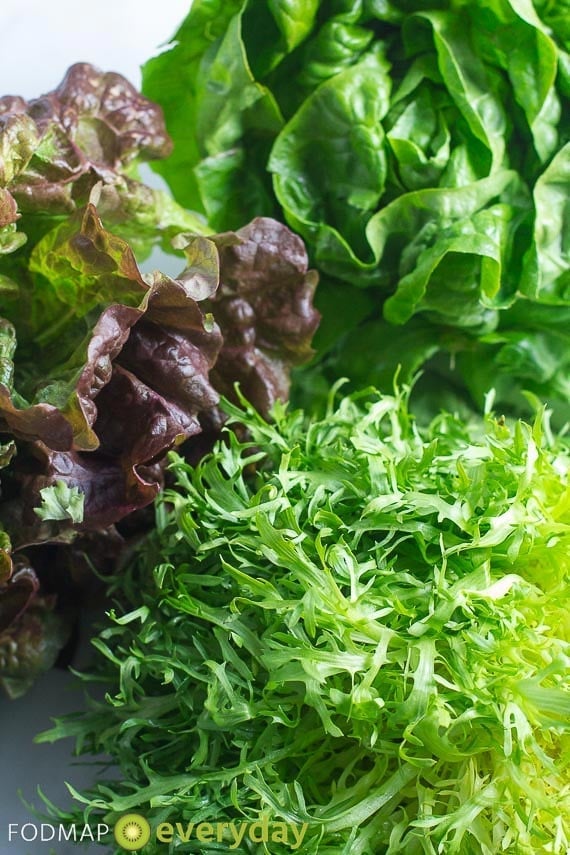 Frisée, red leaf lettuce and butter lettuce - all contain NO FODMAPs!