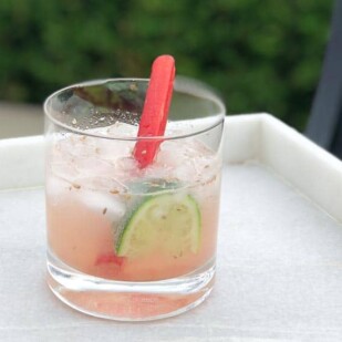 Fennel Rhubarb Gin Spritz in a clear glass with a wedge of lime and stalk of rhubarb