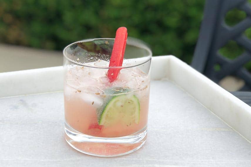 Fennel Rhubarb Gin Spritz in a clear glass with a wedge of lime and stalk of rhubarb