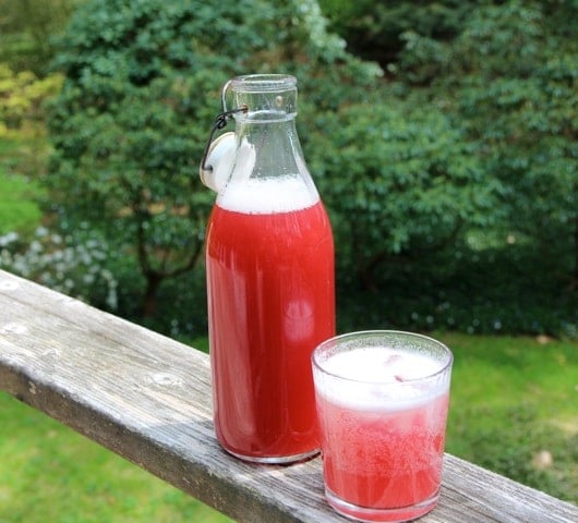 glass and bottle of rhubarb ginger syrup on railing of deck