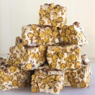 closeup of Chocolate Toasted Marshmallow Treats on white background.