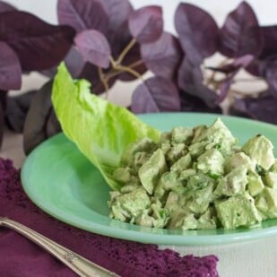 Low FODMAP Green Goddess Chicken Salad on green plate with romaine lettuce