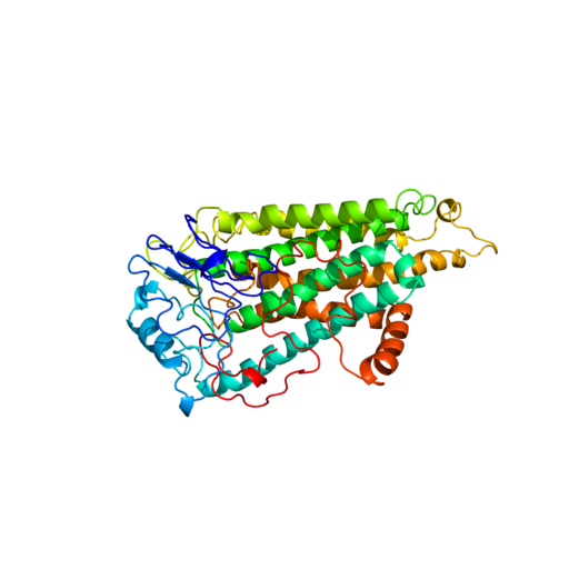 cannabinoid receptor with coils in green, blue, red, and orange
