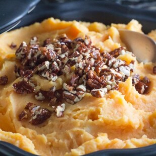 closeup of low FODMAP Mashed sweet potatoes with candied spiced pecans