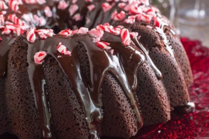 closeup of low FODMAP Chocolate Peppermint Cake, sideview on red plate