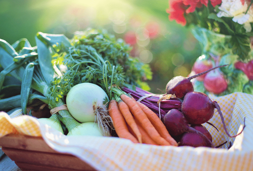 a basket of fresh vegetables 