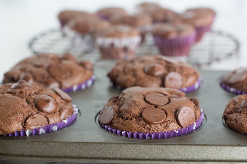 low FODMAP Double Chocolate Muffins in pan with minis in the background