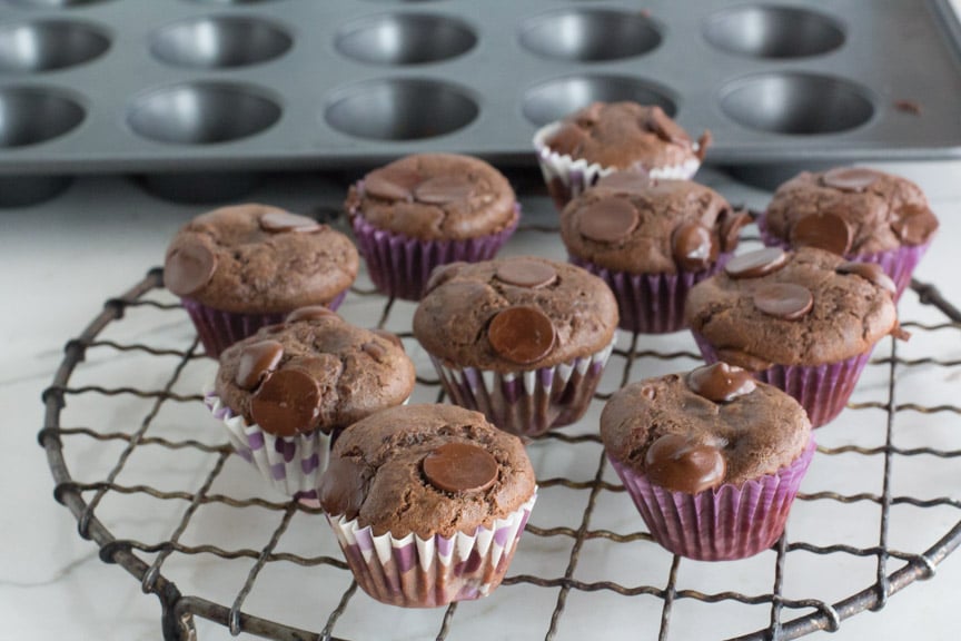Mini low FODMAP Double Chocolate Muffins on a cooling rack