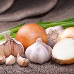 Garlic and onions.