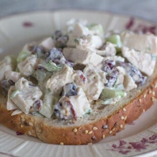 low FODMAP chicken salad with cranberries and pecans on a slice of bread