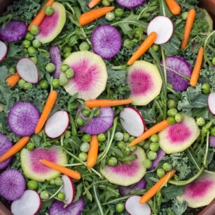 closeup of low FODMAP Greens Salad with Radishes & Peas