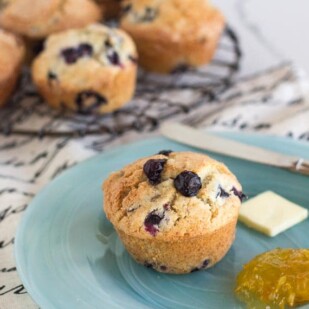 fresh low FODMAP blueberry muffins are a perfect breakfast or snack