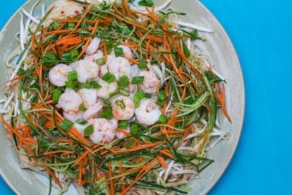 overhead image of Low FODMAP Spicy Sichuan Noodles and Shrimp Salad against turquoise background