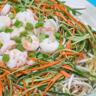 side view of Low FODMAP Spicy Sichuan Noodles and Shrimp Salad against turquoise background