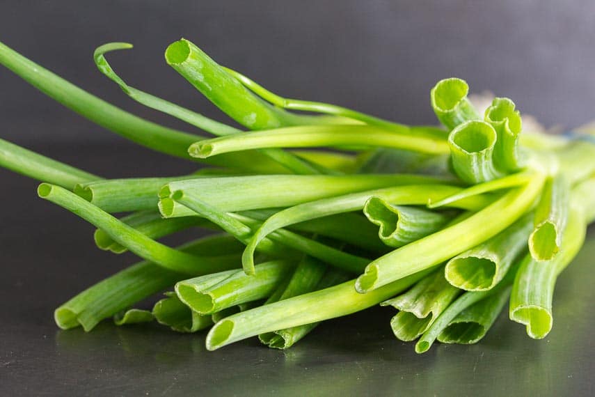 hollow portions of scallion greens shown from cut ends on dark background
