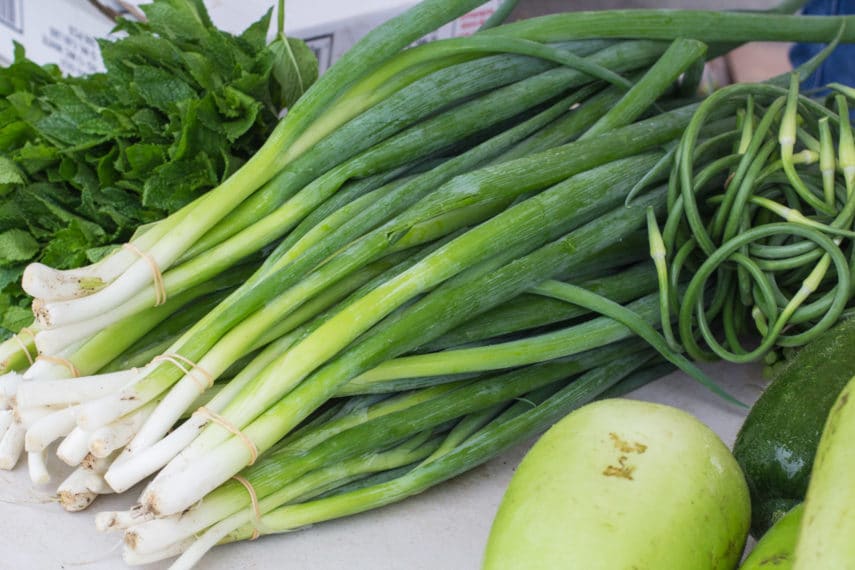 bunch of fresh scallions at the farmers market