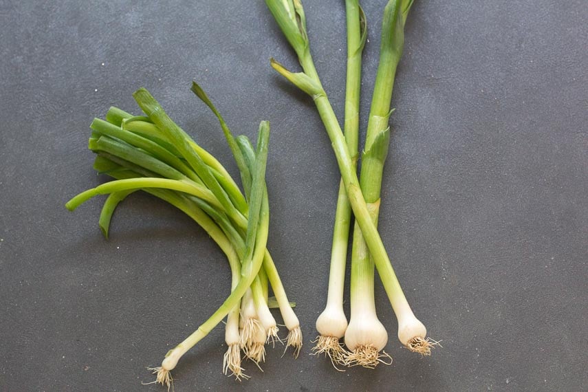 scallions on the left and Spring onions on the right against a dark surface