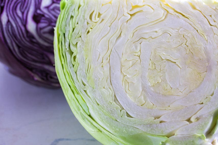 green cabbage closeup; white background