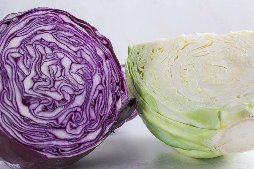 red cabbage and green cabbage, cut open on white backdrop