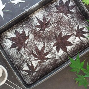 Spicy Low FODMAP Chocolate Snack Cake with stencils of leaves; dark background